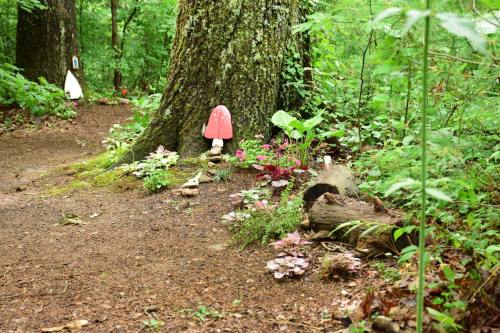 A forest path with a large tree, colorful mushrooms, and various plants along the ground, creating a whimsical scene.