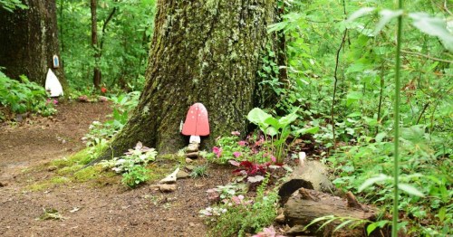 A whimsical forest scene with a tree, colorful mushrooms, and lush greenery along a winding path.