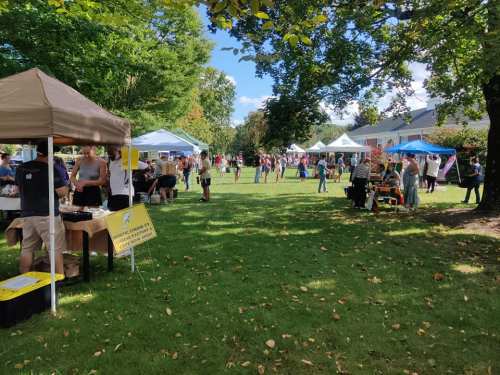 A lively outdoor market with tents, vendors, and people enjoying a sunny day in a green park.
