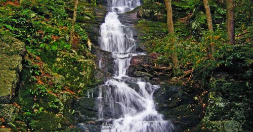 A serene waterfall cascading down rocky terrain, surrounded by lush green trees and foliage.