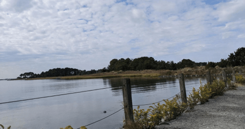 A serene landscape featuring a calm water body, grassy shore, and a cloudy sky, with a fence along the path.