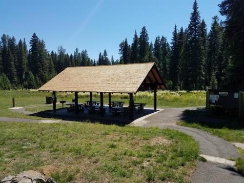 A shaded picnic shelter surrounded by tall trees and a grassy field on a sunny day.