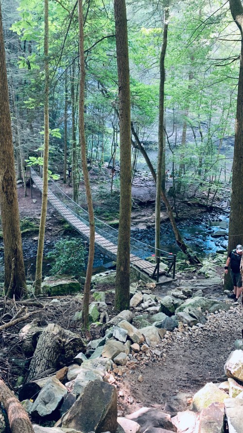 A wooden bridge spans a stream in a lush forest, surrounded by trees and rocky terrain.