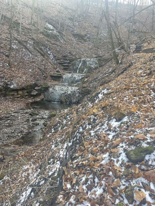 A serene landscape featuring a small waterfall cascading down a rocky slope, surrounded by autumn leaves and bare trees.