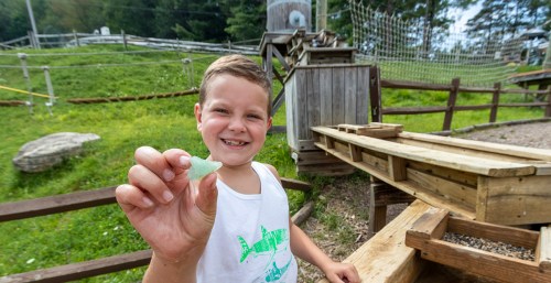 A smiling boy holds a small green object, standing near a wooden play area in a grassy outdoor setting.