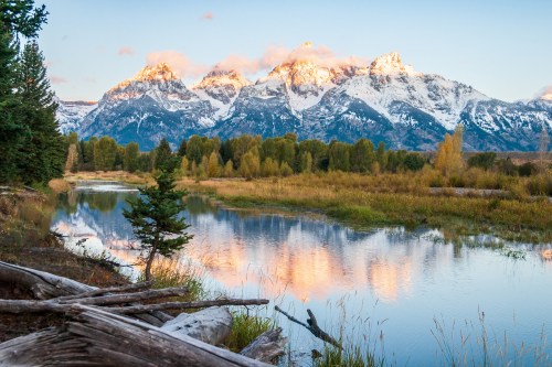 Scenic view of snow-capped mountains reflecting in a calm river, surrounded by trees and golden grass at sunrise.