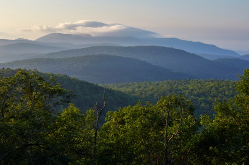 A serene landscape of rolling green hills and distant mountains under a soft, cloudy sky at sunrise.