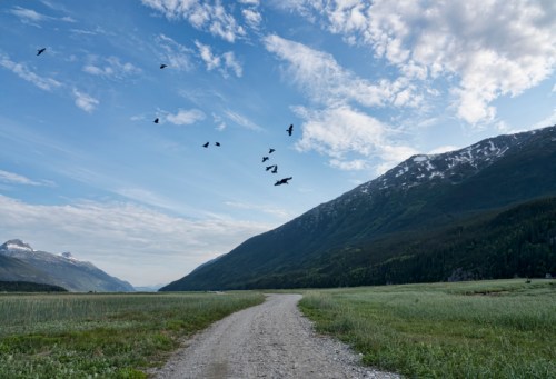 A gravel path leads through a green landscape, with mountains in the background and birds flying in the sky.