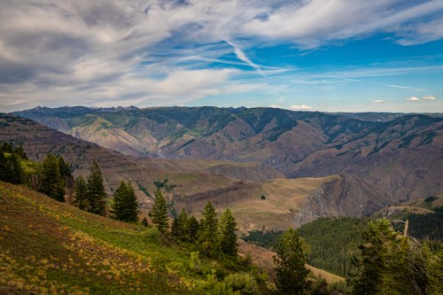 A panoramic view of rugged mountains and valleys under a blue sky with scattered clouds, framed by evergreen trees.