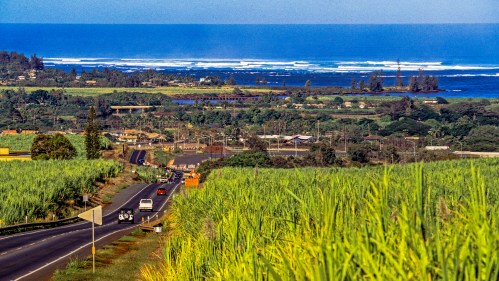 A scenic view of a coastal landscape with sugarcane fields, a winding road, and the ocean in the background.