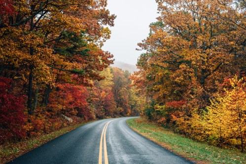 A winding road surrounded by vibrant autumn trees in shades of red, orange, and yellow on a misty day.