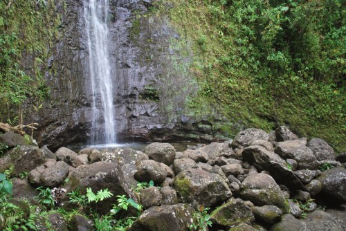 A serene waterfall cascades over rocks, surrounded by lush greenery in a tranquil forest setting.