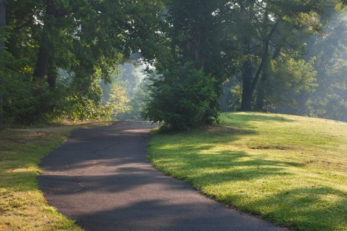 A winding path through a lush green park, surrounded by trees and soft morning light.