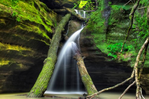 A serene waterfall cascades over moss-covered rocks, surrounded by lush greenery and fallen trees.