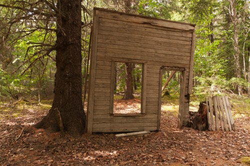 A partially collapsed wooden structure with missing walls, surrounded by trees and forest undergrowth.
