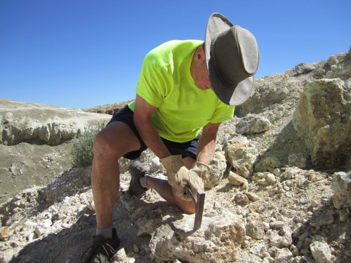 A person in a bright yellow shirt and hat kneels on rocky terrain, using a tool to excavate the ground.