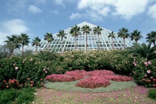 A glass greenhouse surrounded by vibrant flowers and palm trees under a blue sky with fluffy clouds.
