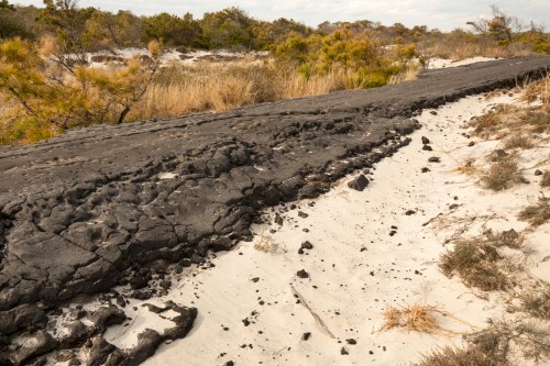 A rugged black lava flow contrasts with sandy terrain and sparse vegetation in a natural landscape.