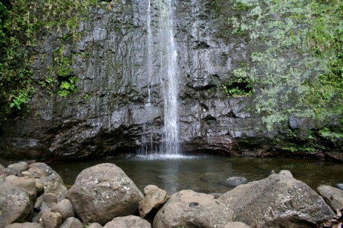 A serene waterfall cascading over rocky terrain into a calm pool, surrounded by lush greenery.