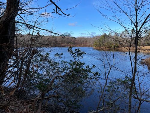A serene view of a calm lake surrounded by bare trees and distant greenery under a clear blue sky.