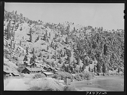 A scenic view of a hillside with trees, a small settlement, and a body of water in the foreground.