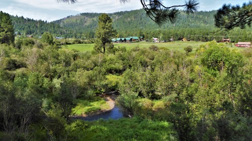 A serene landscape featuring a winding stream surrounded by lush greenery and distant mountains under a clear sky.