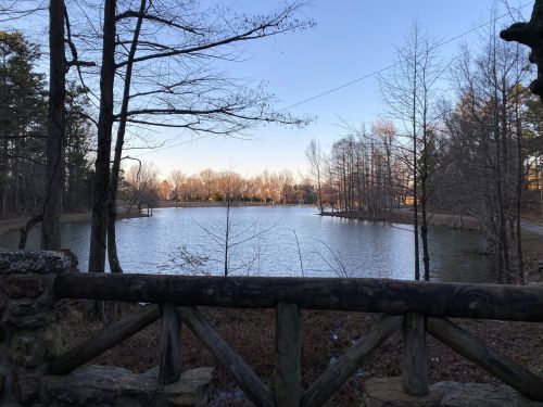 A serene lake surrounded by bare trees, viewed from a wooden railing in early morning light.