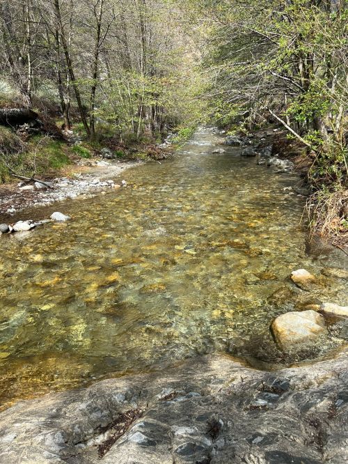 A clear, shallow stream flows over smooth stones, surrounded by lush greenery and trees in a serene natural setting.