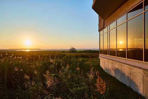 Sunset over a tranquil landscape, reflecting in the windows of a building beside tall grasses and water.