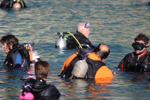 A group of divers in wetsuits and scuba gear are submerged in water, preparing for a dive.