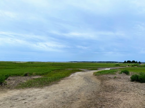 A dirt path winds through a green landscape under a cloudy sky, leading towards distant fields and water.