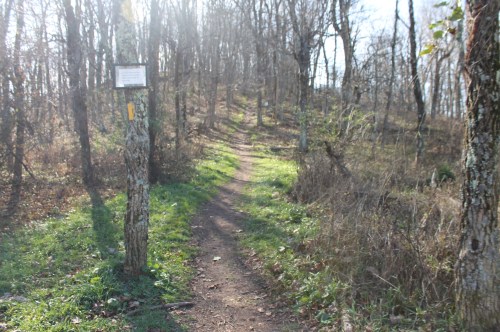 A winding dirt path through a sunlit forest, with a signpost on the left and trees lining the trail.