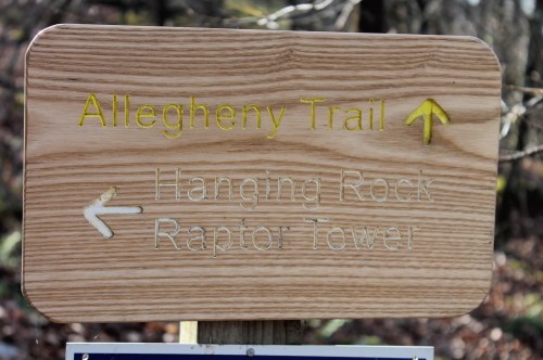 Wooden trail sign indicating directions to Allegheny Trail, Hanging Rock, and Raptor Tower.