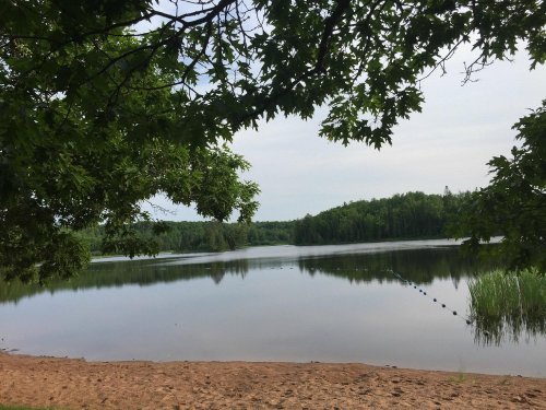 A serene lake surrounded by trees, with a sandy shore and calm water reflecting the sky.