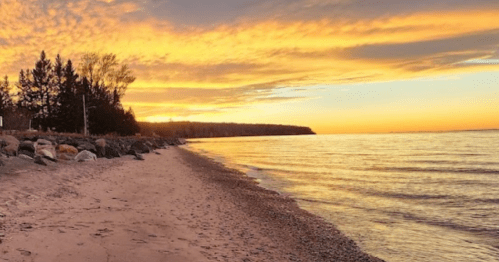 A serene beach at sunset, with golden skies reflecting on calm waters and trees lining the shore.