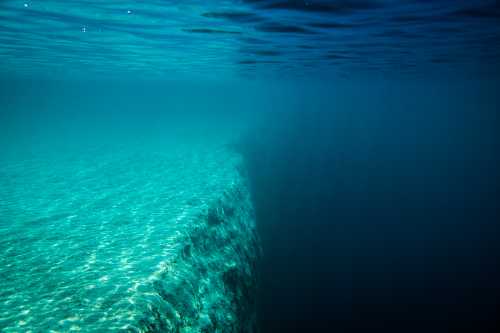 A serene underwater scene showing a clear blue gradient transitioning to darker depths. Light filters through the water.