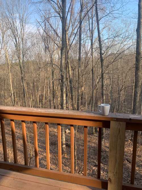 A wooden deck overlooks a forest of bare trees, with a white mug resting on the railing.