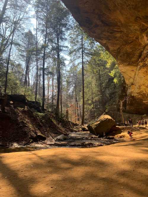 A serene forest scene with tall trees, a rocky overhang, and a sandy path leading to a stream. Sunlight filters through.