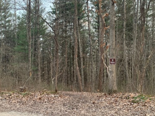 A wooded area with a trail sign on a tree, indicating a path through the forest.