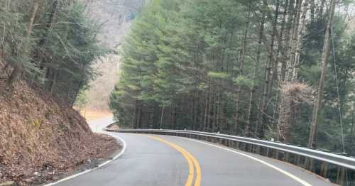 A winding road surrounded by tall trees, with a gentle curve and a guardrail on the right side.