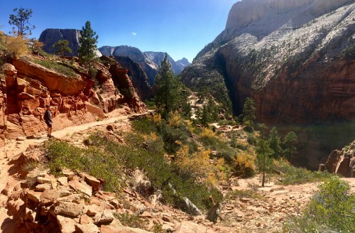 A scenic view of a rocky trail winding through a canyon with trees and colorful foliage under a clear blue sky.