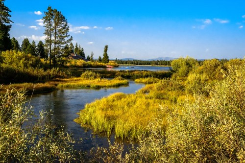A serene landscape featuring a calm river, lush greenery, and a clear blue sky with distant mountains.