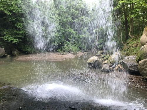 A serene waterfall cascading into a calm pool, surrounded by lush greenery and rocky terrain.