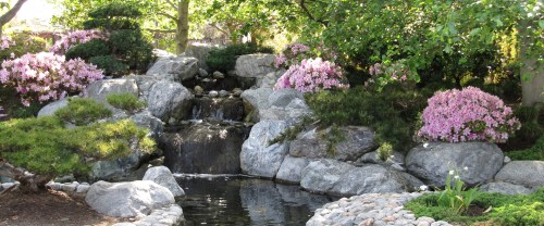 A serene garden scene featuring a waterfall, rocks, and blooming pink azaleas surrounded by lush greenery.