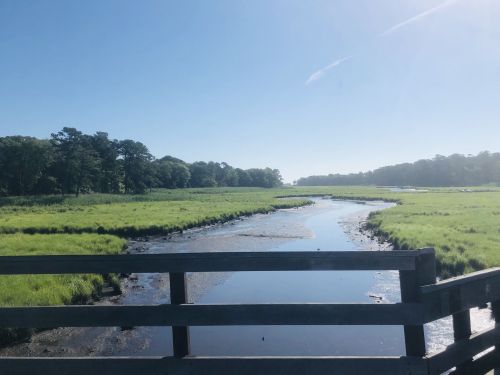 A serene view of a winding stream through lush green marshland under a clear blue sky.