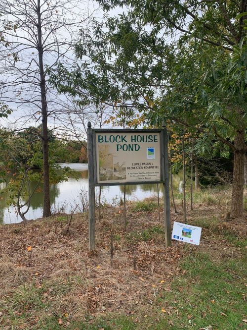 Sign for Block House Pond, surrounded by trees and grass, with a pond visible in the background.