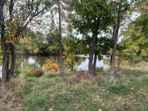 A serene pond surrounded by trees with autumn foliage, reflecting the peaceful landscape.
