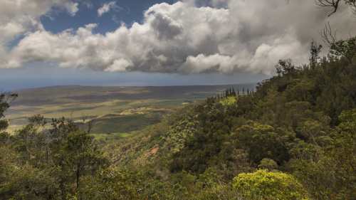 A lush green hillside under a cloudy sky, overlooking a vast landscape with distant mountains and valleys.