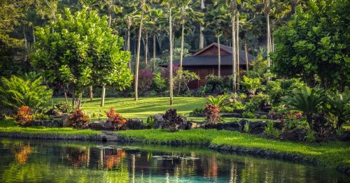 Lush garden with palm trees, colorful flowers, and a serene pond, featuring a wooden house in the background.