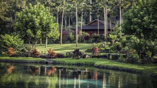 Lush garden with tropical plants, a serene pond, and a wooden house surrounded by palm trees.